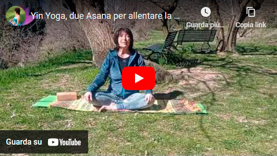 Asana - Yin Yoga per la Schiena | Video con Jotyr | Spazio Anam Blog